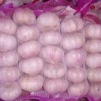 Fresh Garlic 6.0cm