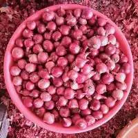 Fresh Red Onion