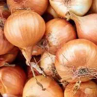 Fresh Yellow Onion