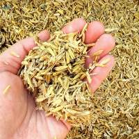 Rice Husk Powder