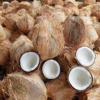 Fresh Coconut Semi Husk