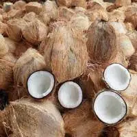 Fresh Coconut Semi Husk