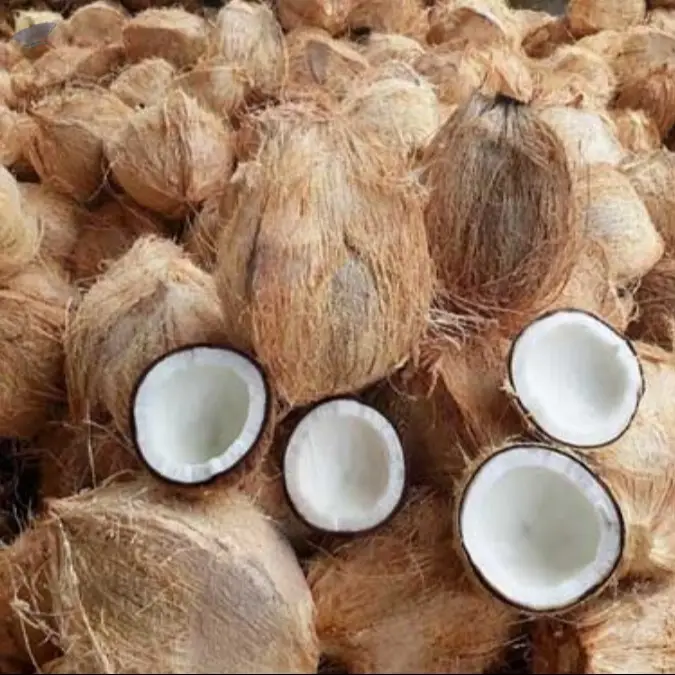 Fresh Coconut Semi Husk