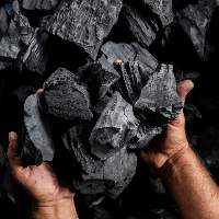 Hardwood Charcoal / BBQ Charcoal