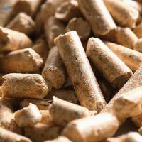 Biomass Wood Pellet