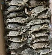 Frozen Blue Crabs