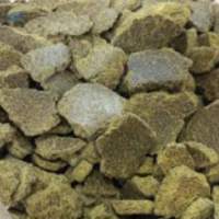 Cotton Oil Seed Cake