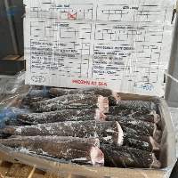 Hake Hgt Seafrozen