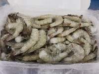 Vannamei Shrimp - HLSO