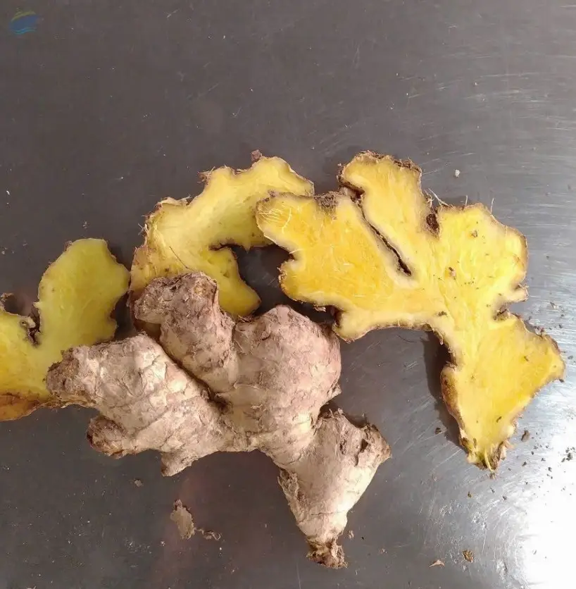 Fresh Ginger