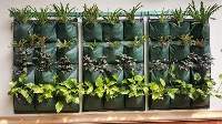 Wall Planter