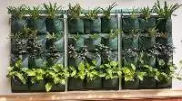 Wall Planter