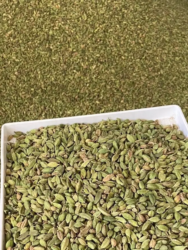 Lanka Green Cardamom
