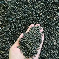 Pepper