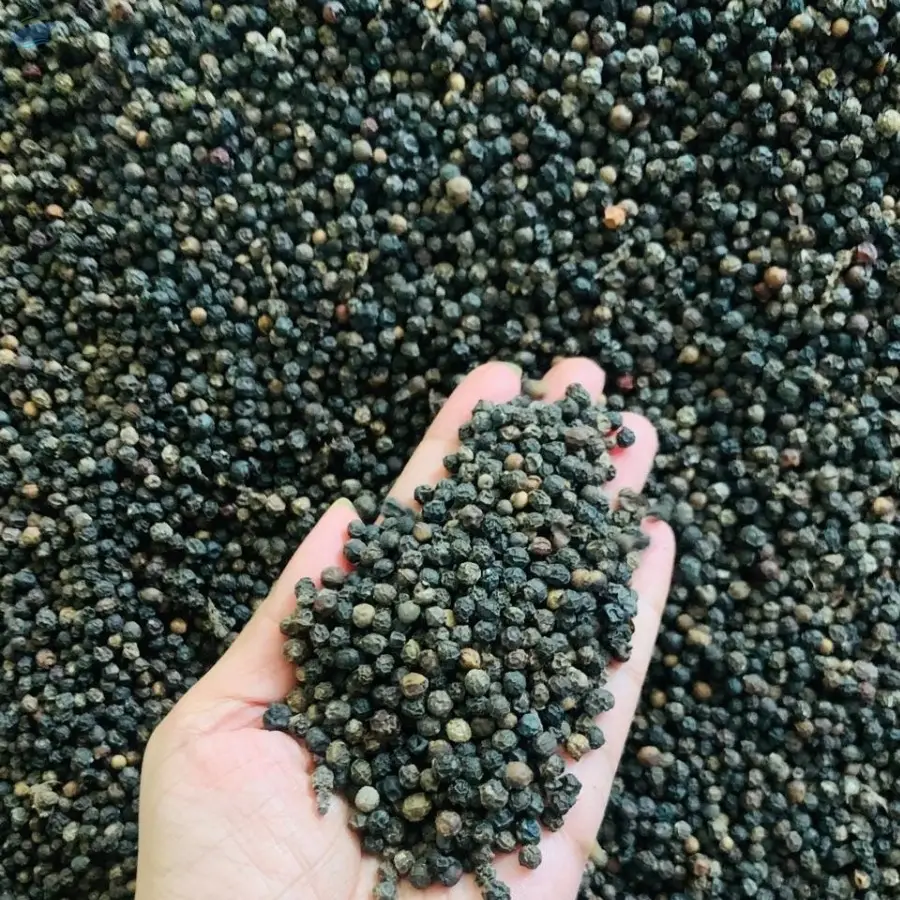 Pepper