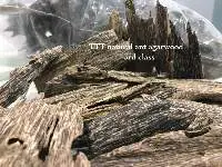 Third Grade Natural Ant Agarwood Chip