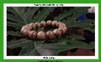 Agarwood Bracelet