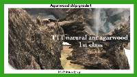 Agarwood Chip Grade 1