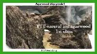 Agarwood Chip Grade 1