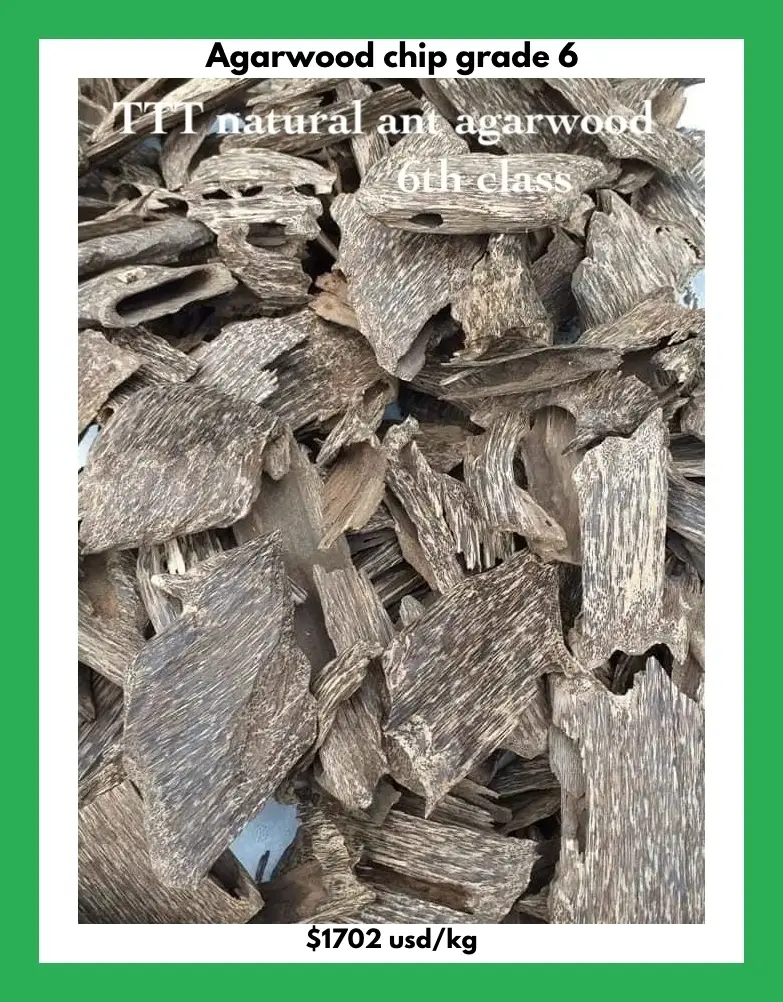Agarwood Chip Grade 6