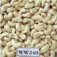 Cashew Kernel  W240