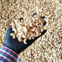 Cashew