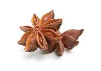 Anise Star Oil