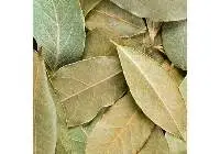 Bay Leaf Oil/Bay Oil
