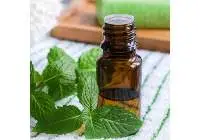Bergamot Mint Oil (Mentha Citrata)
