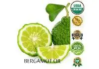 Bergamot Oil