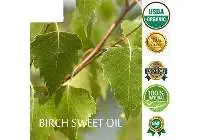 Birch Sweet Oil