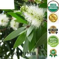 Cajeput Oil