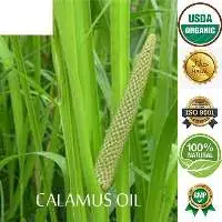 Calamus Oil