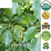 Camphor Oil White