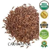 Caraway Oil