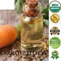 Carrot Seed Oil (High Caratol)