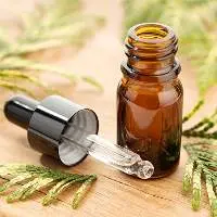 Cypress Oil