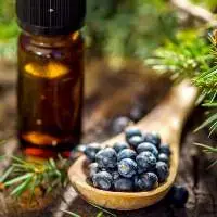 Juniper Berry Oil