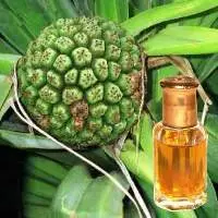Ruh Kewra Oil