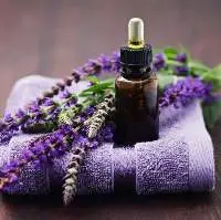 Lavender Bulgarian Oil