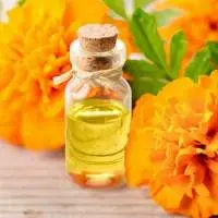Marigold Essential Oil
