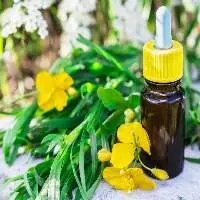 Tarragon Oil