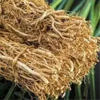 Vetiver Oil  Ruh Khus (Green)