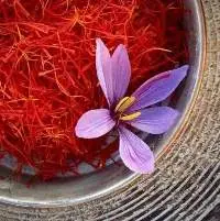 Kesar
