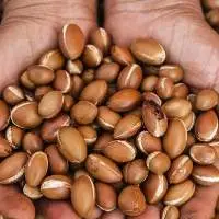 Argan Oil