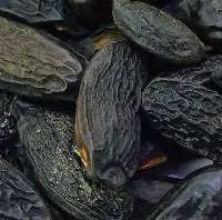 Tonka Bean Absolute Oils