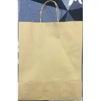 Brown Kraft Recycled Paper Bag