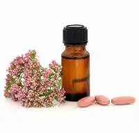 Sugandha Bala Essential Oil
