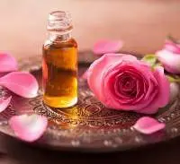 Boid Da Rose