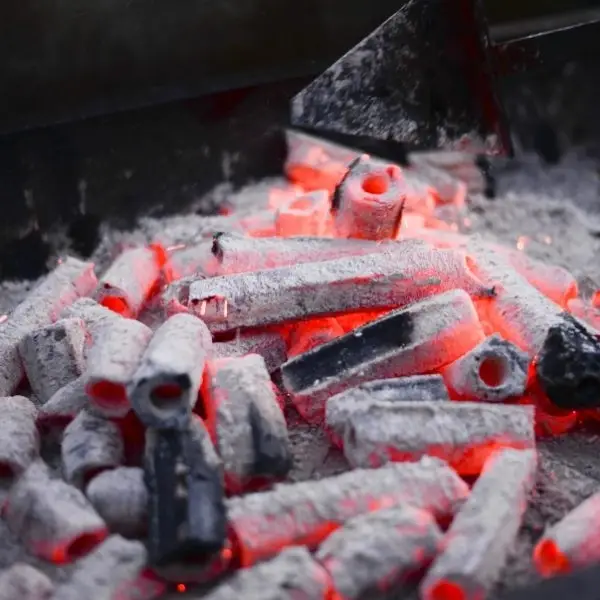 Hexagonal Charcoal Briquettes